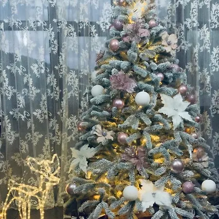 Guest house Boutique-hotel 